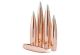 Hornady Bullet 6mm .243 110 Gr A-Tip Match (1-7.7