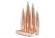 Hornady Bullet 416 Cal .416 500 Gr A-Tip Match (1-12