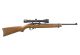 Ruger 10/22 Carbine 22 LR Hardwood with Viridian Scope