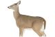 Montana Decoy Dreamy Doe Decoy