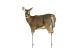 Montana Decoy Trixie Whitetail Doe Decoy