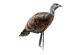 Montana Decoy Miss Purr-Fect XD Turkey Hen Decoy