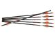 Ravin XK5 Arrows 500 Grain .001