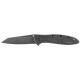 Kershaw Random Leek - BlackWash Knife, Model 1660RBW