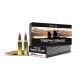 Nosler Trophy Grade Ammunition - 300 WSM, 180 gr, AccuBond, 2950 fps, Model 60063