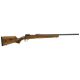 Savage 110 Classic Rifle - 270 Win, 22