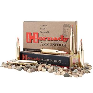 Hornady Ammo 223 Rem 55 Gr SP (50)