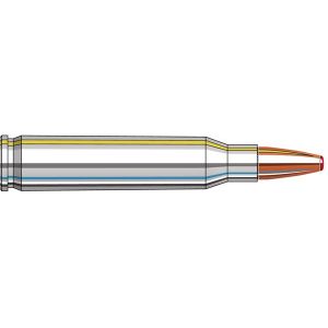 Hornady Ammo 223 Rem 73 Gr FTX CD