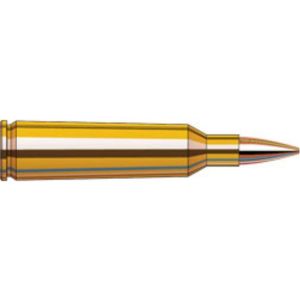 AMMO 223 REM 75 GR BTHP MATCH SPF