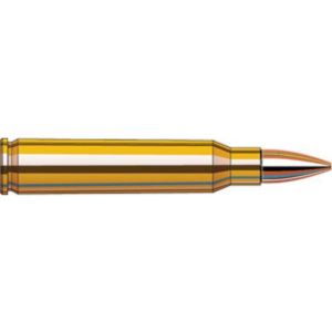 Hornady Ammo 5.56 NATO 75 Gr BTHP Match SPF