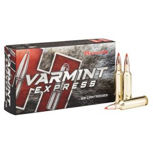 Hornady Ammo 6mm Creedmoor 87 Gr V-MAX