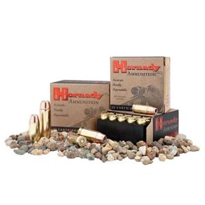 Hornady Ammo 454 Casull 300 Gr XTP Mag