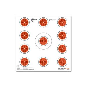 Allen EZ-Aim Paper Indoor Target 12