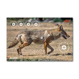 Allen EZ-Aim Paper Four Colour Target - Coyote