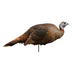 Montana Decoy Spring Fling Turkey Hen Decoy