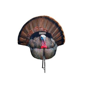 Montana Decoy Fanatic Reaping Turkey Decoy