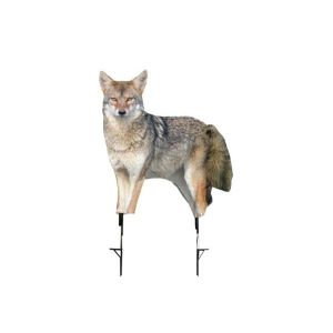 Montana Decoy Song Dog Coyote Decoy