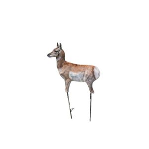 Montana Decoy Antelope Fawn Predator Decoy