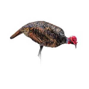 Montana Decoy Jake Purr-fect XD Turkey Decoy