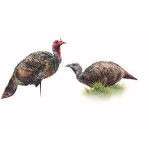 Montana Decoy Purr-Fect Pair XD Turkey Decoys