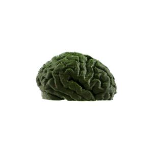 Kayro Pocket Brain, OD Green