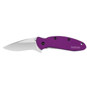 Kershaw Scallion - Purple Knife, Model 1620PUR