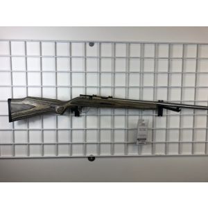 Lightspeed Image ID: 22293