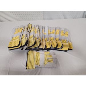 Lightspeed Image ID: 23813