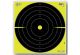 Allen EZ-Aim Non-Adhesive Splash Bull's-Eye Targets
