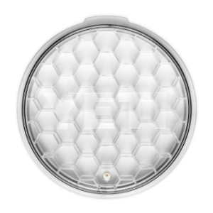 Lightspeed Image ID: 10245