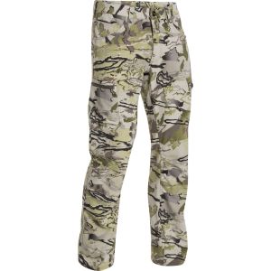Lightspeed Image ID: 12173